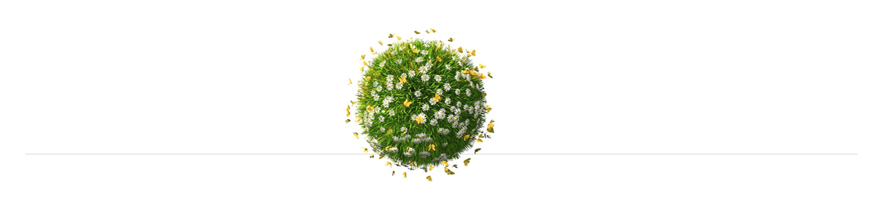 Our View of Sustainability