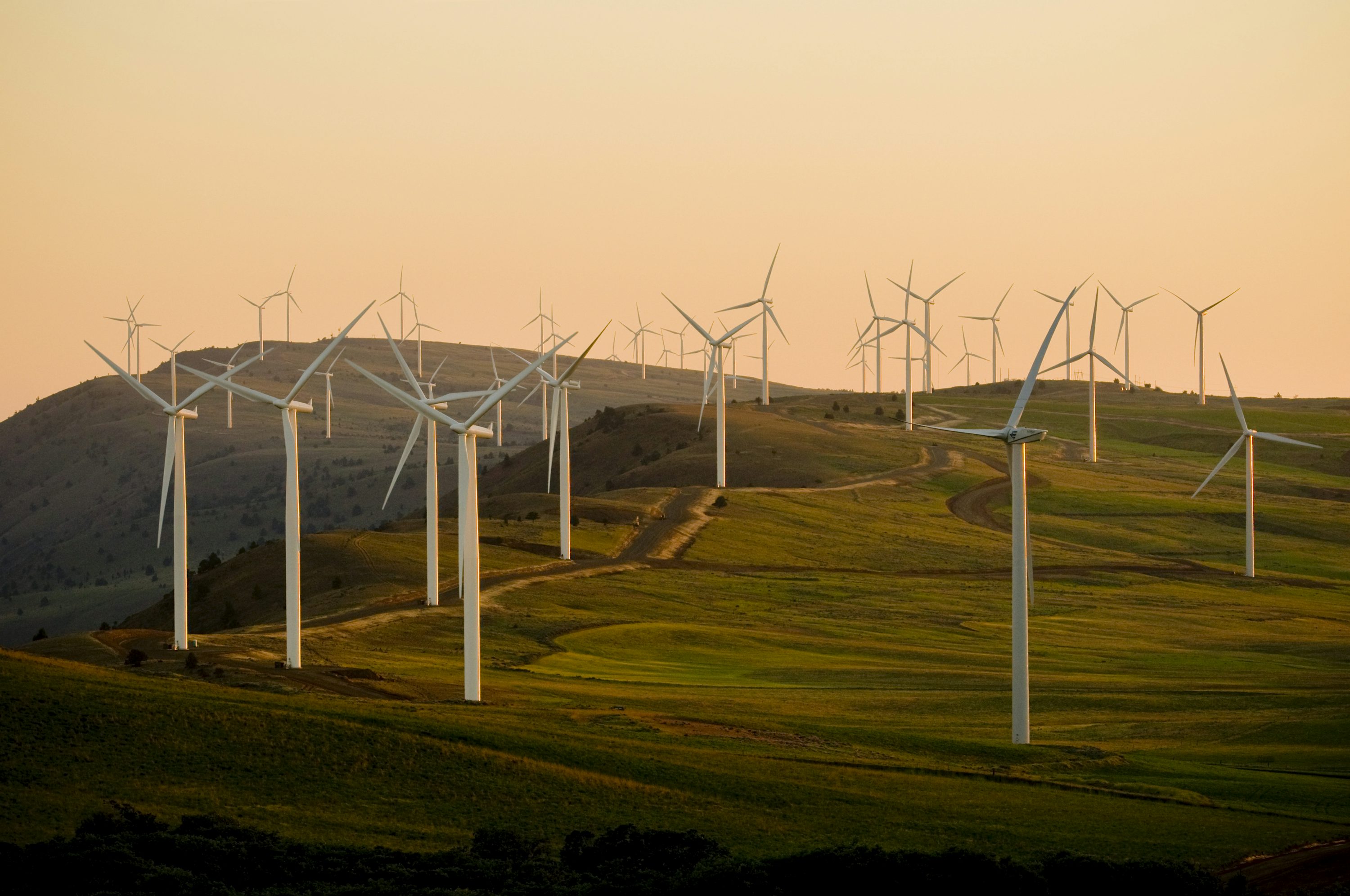 Adroit Green Energy Solutions